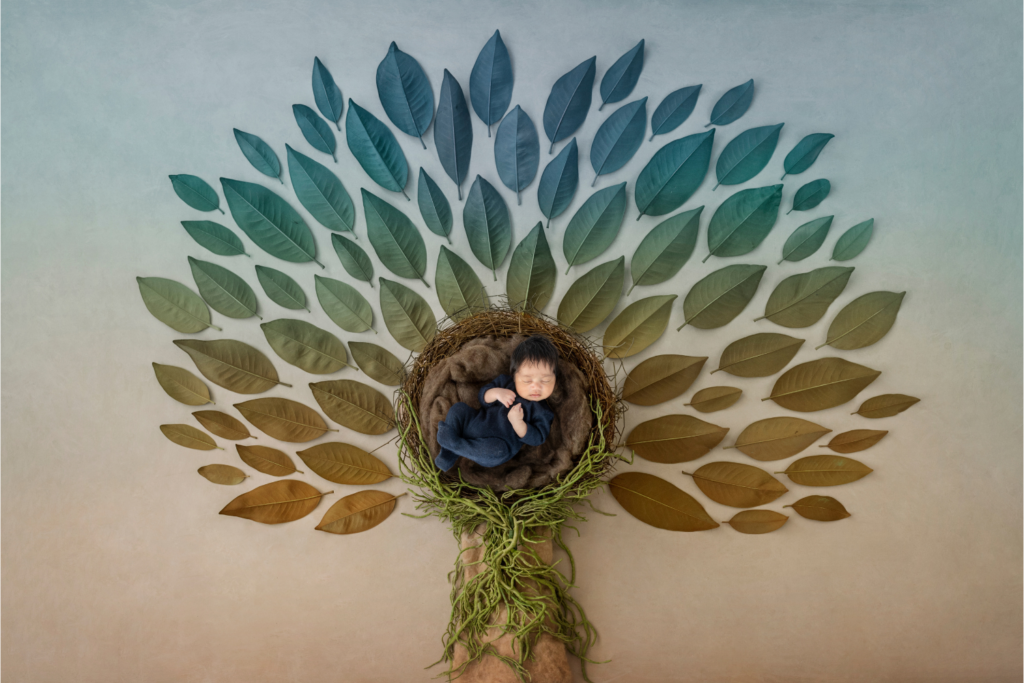 A serene newborn sleeps in a nest-themed prop surrounded by a peacock pattern of green and brown leaves, artistically arranged for a creative newborn photo shoot.




